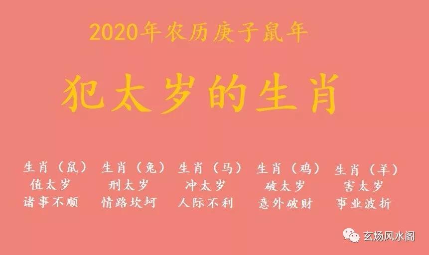 属兔年犯太岁的生肖有哪些 属兔年犯太岁的生肖有哪些呢