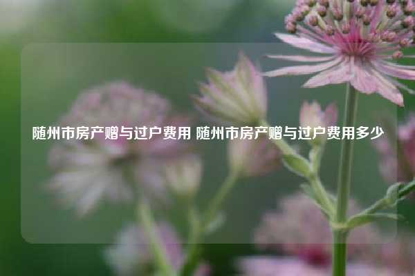 随州市房产赠与过户费用 随州市房产赠与过户费用多少