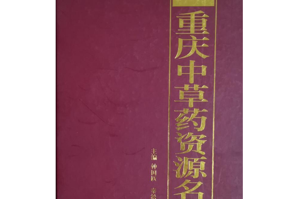 重庆中草药围巾定做厂家 重庆中草药围巾定做厂家地址