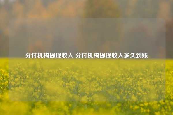 分付机构提现收入 分付机构提现收入多久到账