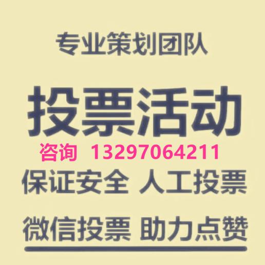 纯人工微信投票多少钱一票 微信专业人工投票多少钱一票