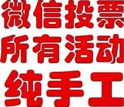 专业微信投票团队收费 微信投票团队搜 – 光速网络工作室