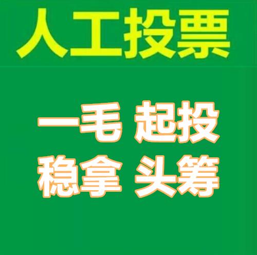 微信投票人工投票若英 微信人工投票做个人不好吗