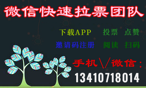 微信人工投票多少钱 微信人工投票70元1000票