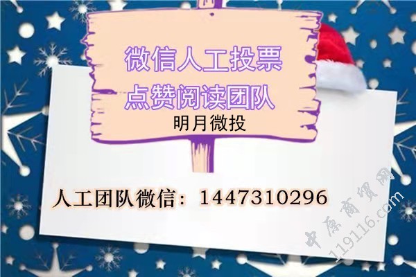 微信人工投票10元1千票 微信人工投票10元1000票平台