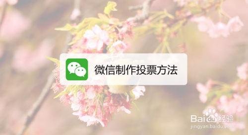 微信人工投票名字 微信人工投票名字叫什么