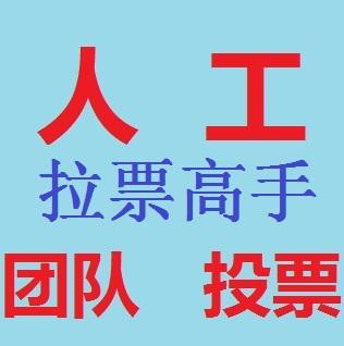 微信人工投票哪个团队便宜 微信人工投票10元100票 搜狐