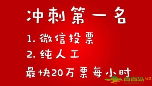 南宁微信人工投票多少钱 南宁微信人工投票多少钱一个