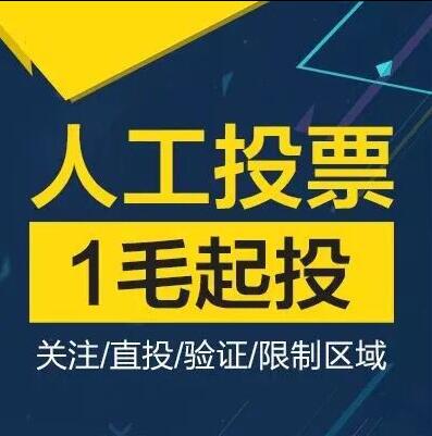 甘肃微信人工投票价格 微信人工投票一票多少钱