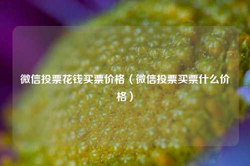 微信投票花钱买票价格（微信投票买票什么价格）